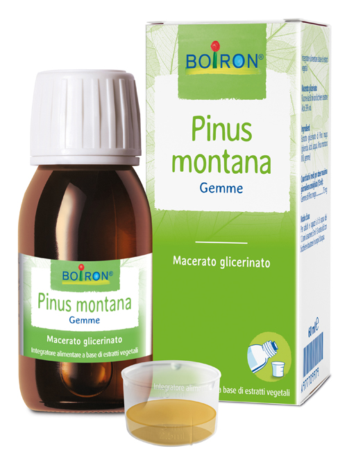 PINUS MONTANA MACERATO GLICERICO 60 ML INT - famajoy.it
