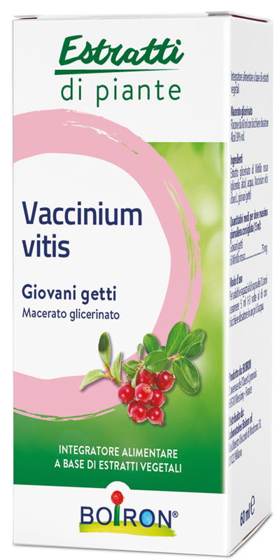 VACCINIUM VITIS MACERATO GLICERICO 60 ML - famajoy.it
