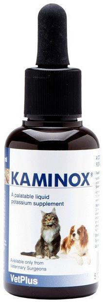 KAMINOX SCIROPPO 60 ML - famajoy.it