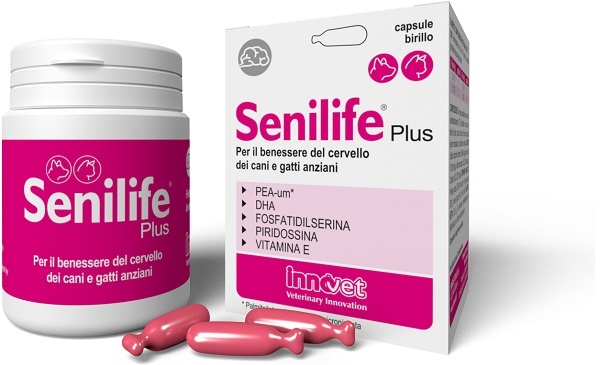 SENILIFE PLUS 60 CAPSULE - famajoy.it