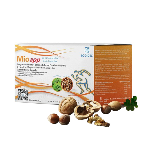 MIOAPP 14 BUSTINE - famajoy.it